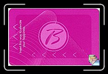 Borgata * (132 Slides)